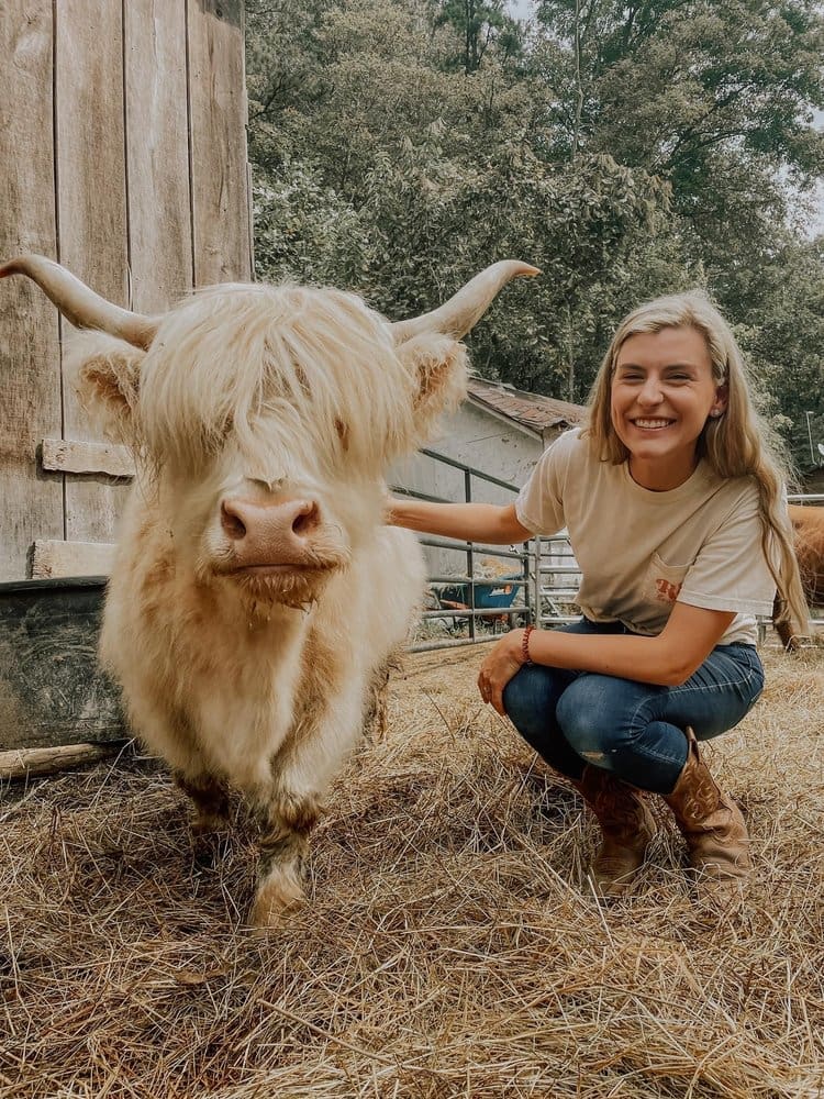 Woman sitting beside Highland cow at Pfarr Farms