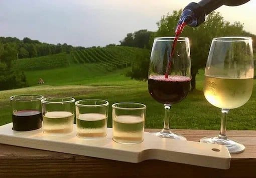 Discover the Local Flavors of Hocking Hills: Winery and Brewery Experiences