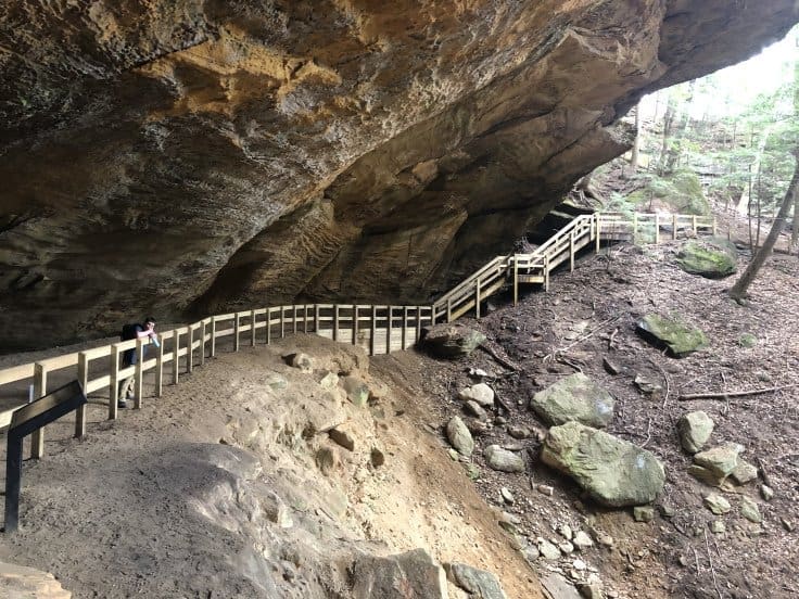 Wooden bridge and forest path along Whispering Cave Trail in Hocking Hills