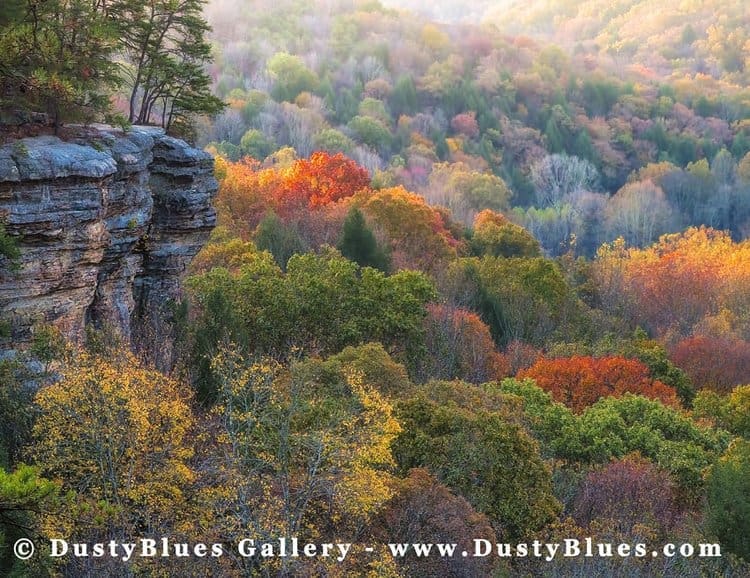 Scenic outdoor photo promoting Dusty Blues Art Gallery in Hocking Hills