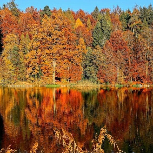 Colorful fall foliage reflected in a lake