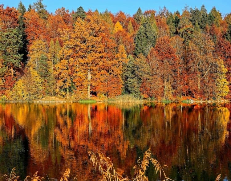 Colorful fall foliage reflected in a lake