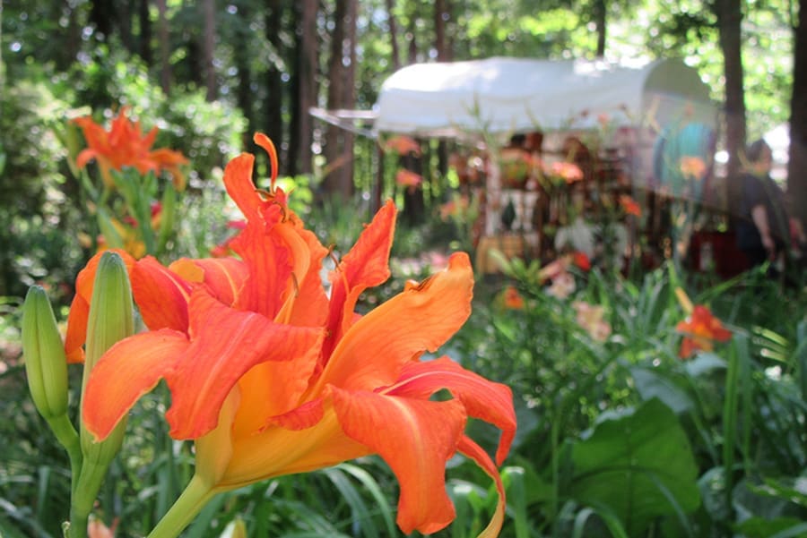 The Best Summer Festivals & Activities in Hocking Hills