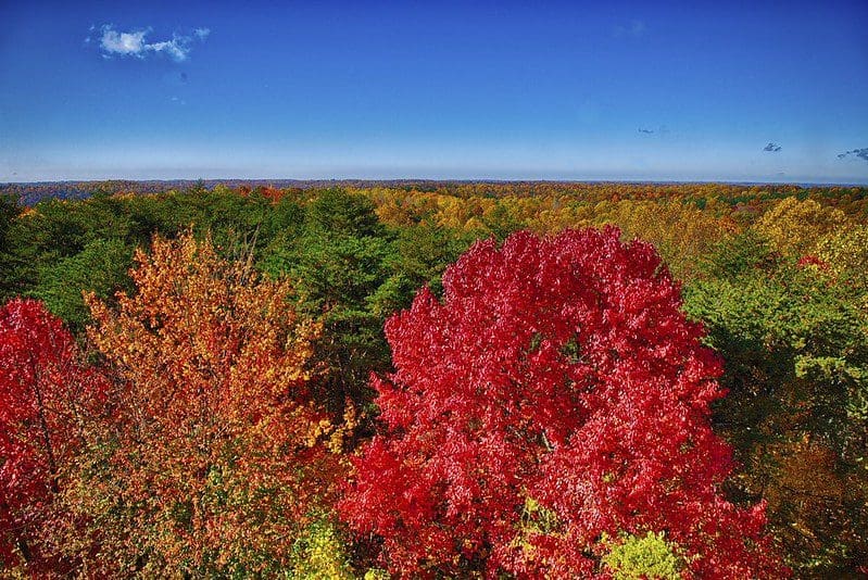 View of Hocking Hills State Park in Fall