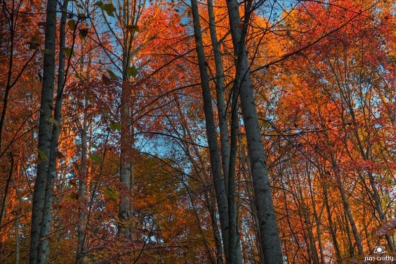 October Sunrise and Landscape at The Inn at Cedar Falls in Hocking Hills Ohio by JIm Crotty